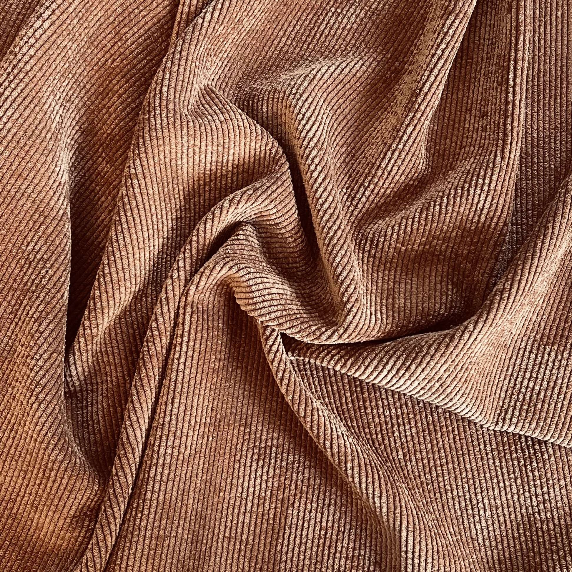 camel