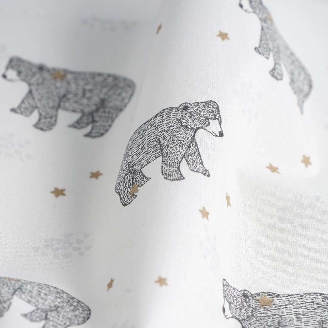 Les ours blancs